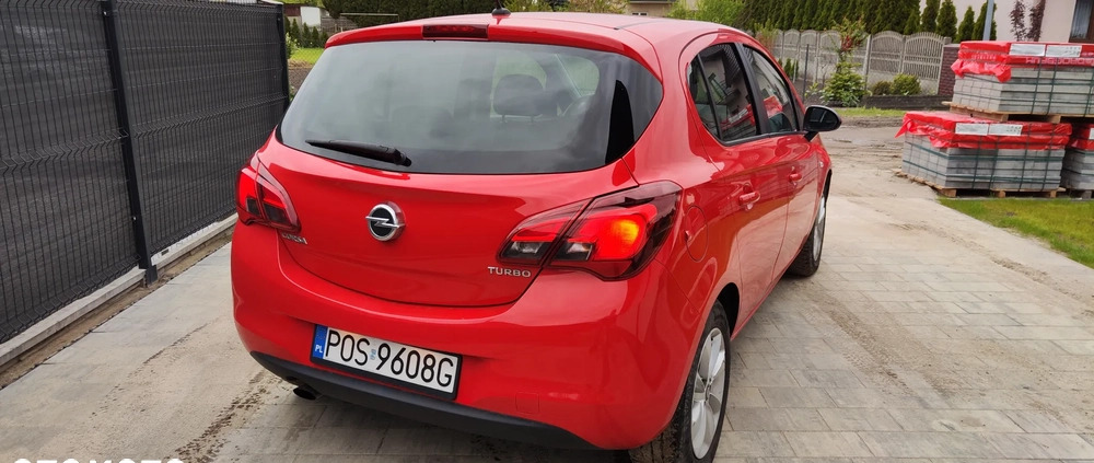 Opel Corsa cena 33900 przebieg: 64100, rok produkcji 2016 z Rajgród małe 154